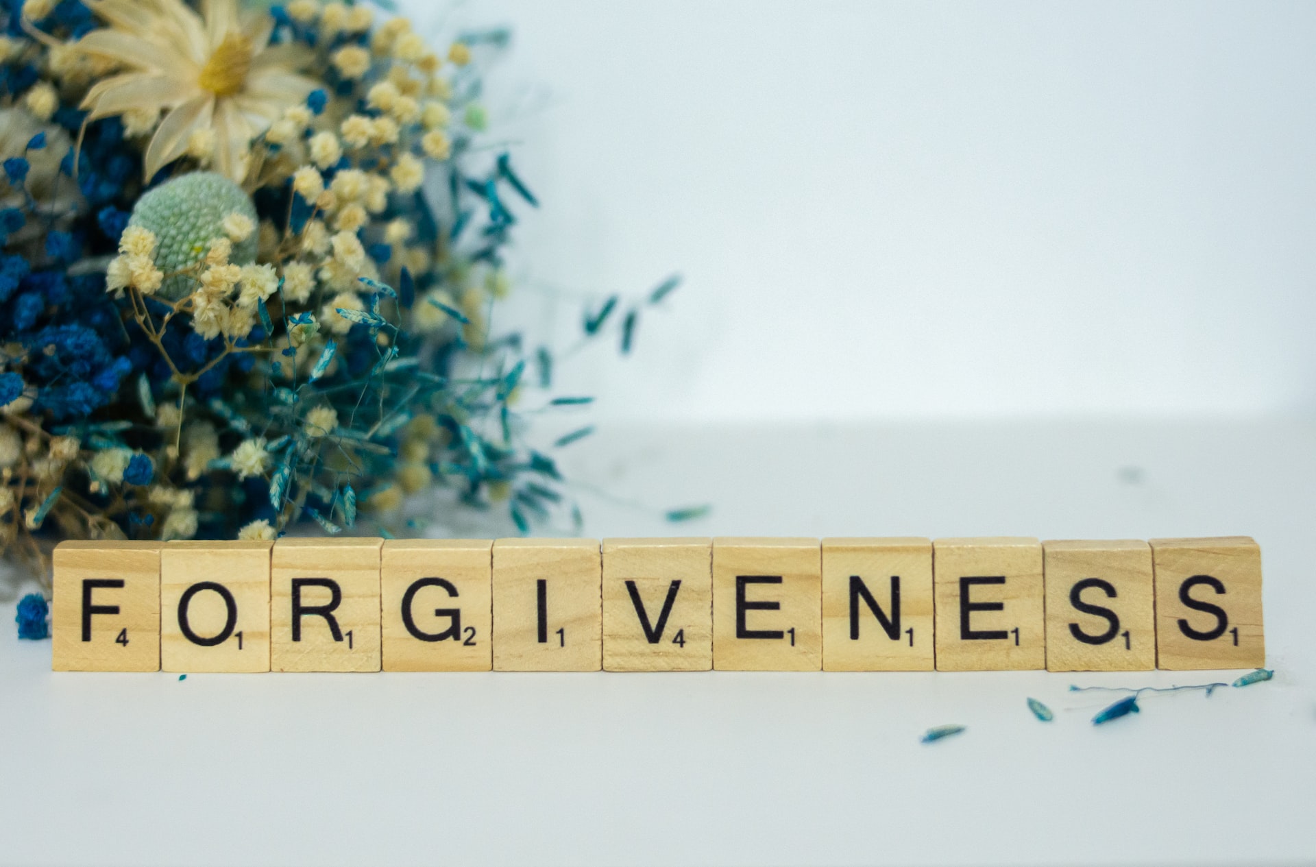 Everyday Blessing: FORGIVENESS (PENGAMPUNAN)